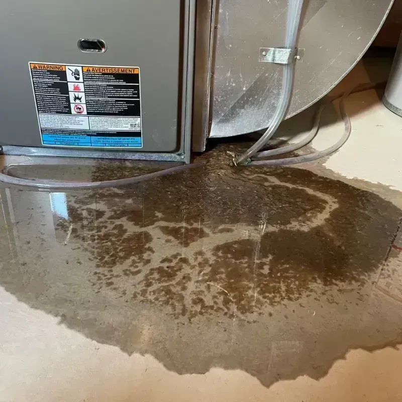 Appliance Leak Cleanup in Littleton, CO